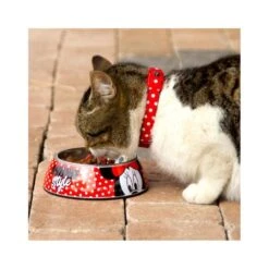 Minnie Mouse- Comedero Perros Tamaño M 12 Minnie Mouse- Comedero Perros Tamaño M -Juguetes Para Niños medias 1253