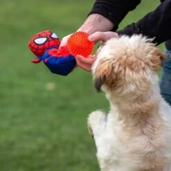 Disney - Pelota Y Peluche Para Perros Tipo Spiderman -Juguetes Para Niños medias 905
